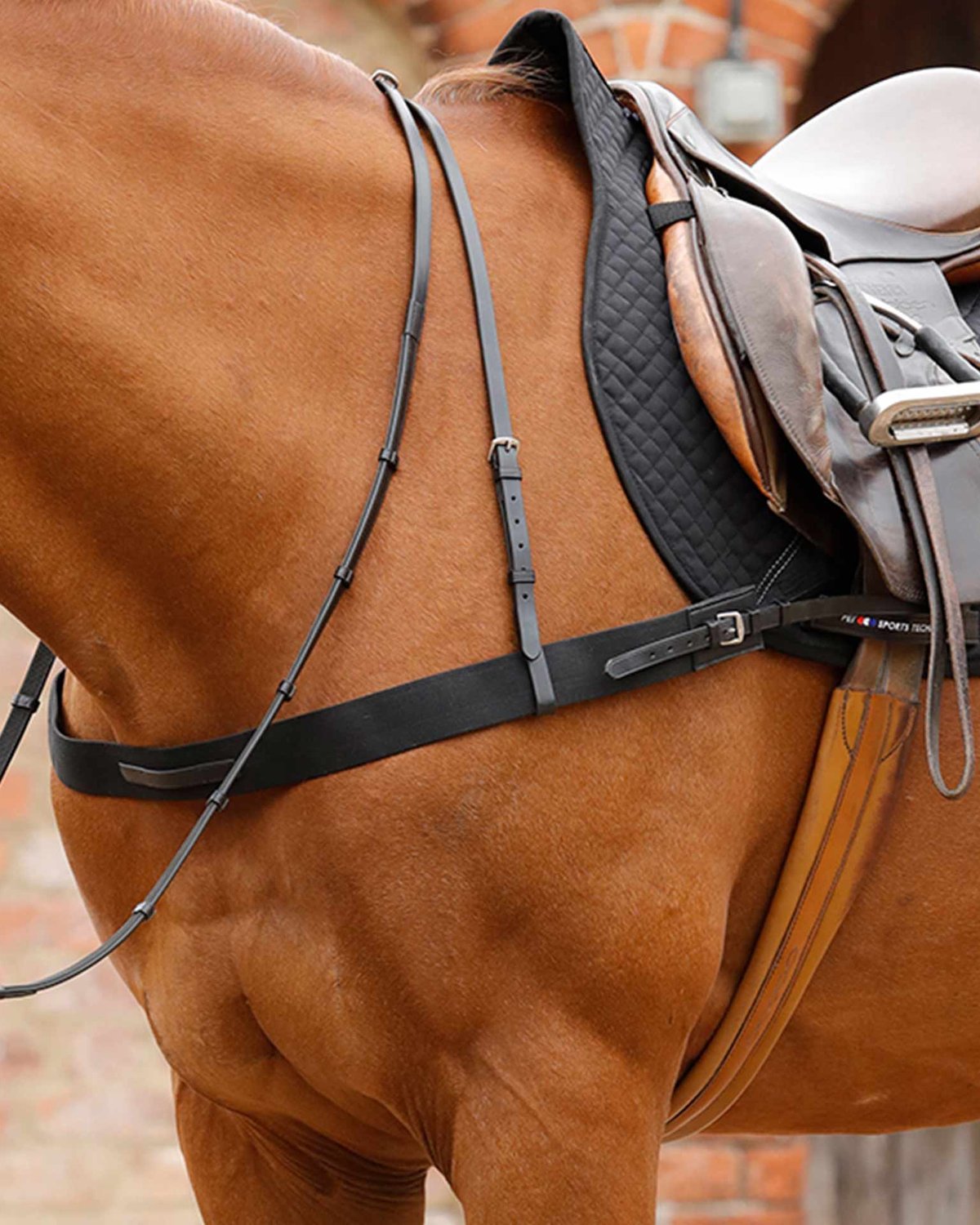 Premier Equine Zimella Elastic Breastgirth Black - Horse Tack Equestrian Equipment