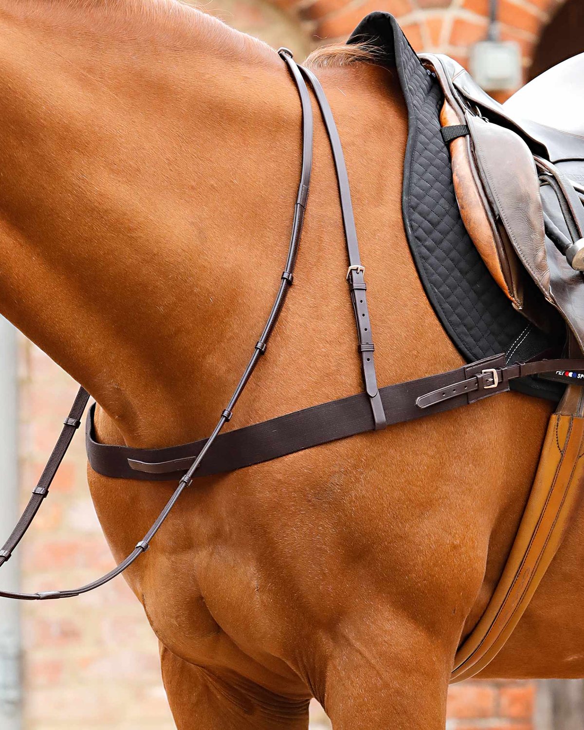 PREMIER EQUINE ZIMELLA Brown Elastic Horse Breastgirth - Equiflair Equestrian Equipment