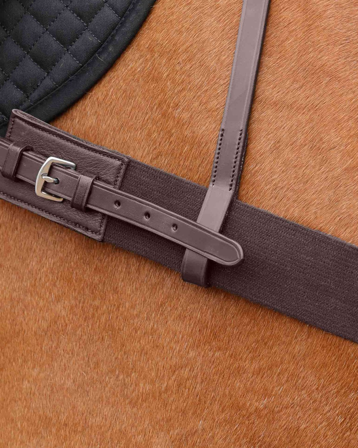 Premier Equine ZImella Elastic Breastgirth Brown: Close-up of Equestrian Horse Equipment
