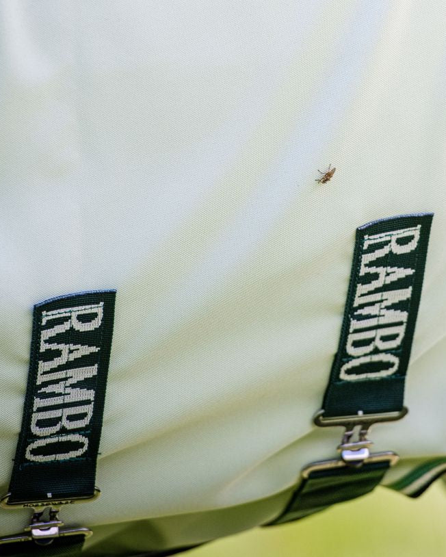 RAMBO Fly Rug for Horses - Horseware Hoody, Chalk & Hunter Green, with Fly Protection
