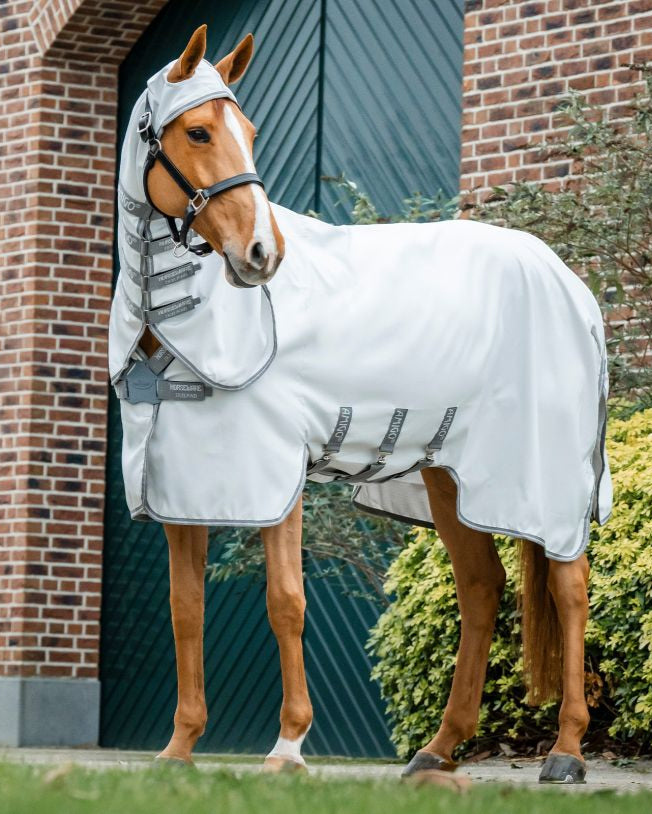HORSEWARE AMIGO Ripstop Hoody: Horse wearing a silver UV protective fly sheet. Horse blanket for summer fly & sun protection.