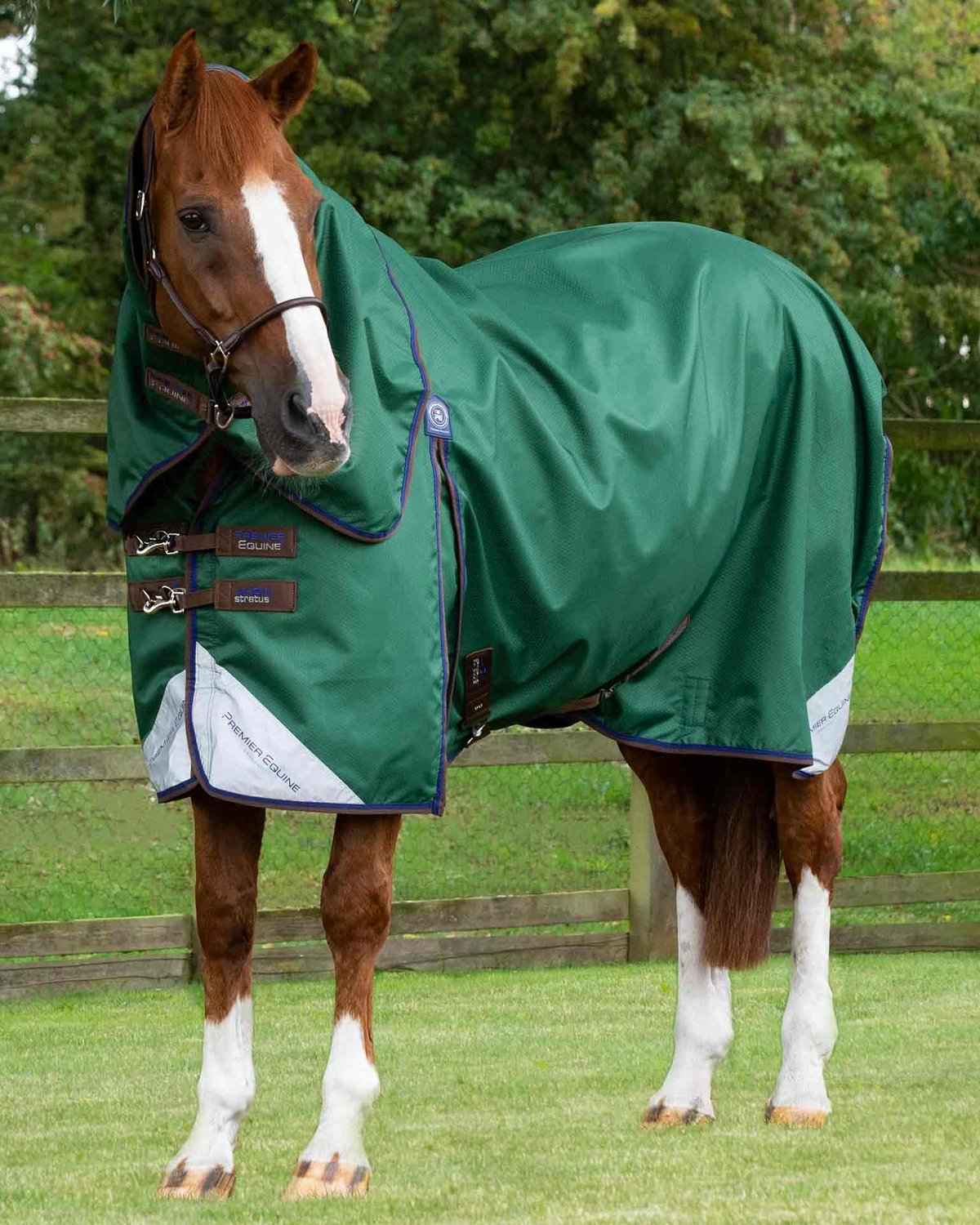 Premier Equine Akoni 0g Turnout Rug with Classic Neck Cover Green