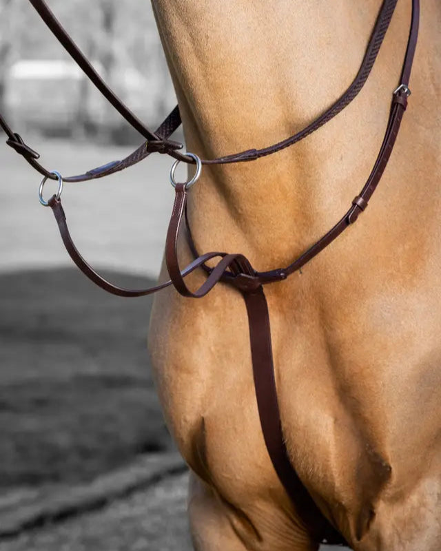 LeMieux Arika Running Martingale Havana/Silver