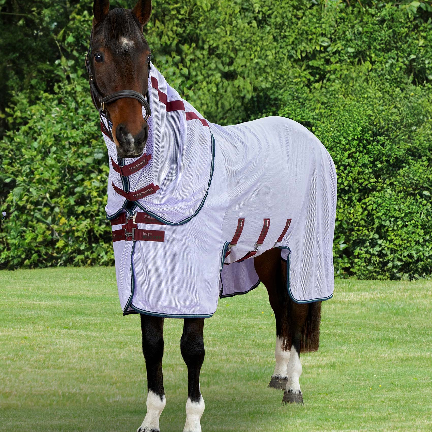 Horse in Premier Equine Lavender Bug Buster Fly Rug with Detachable Neck & Belly Flap for UV & Insect Protection.