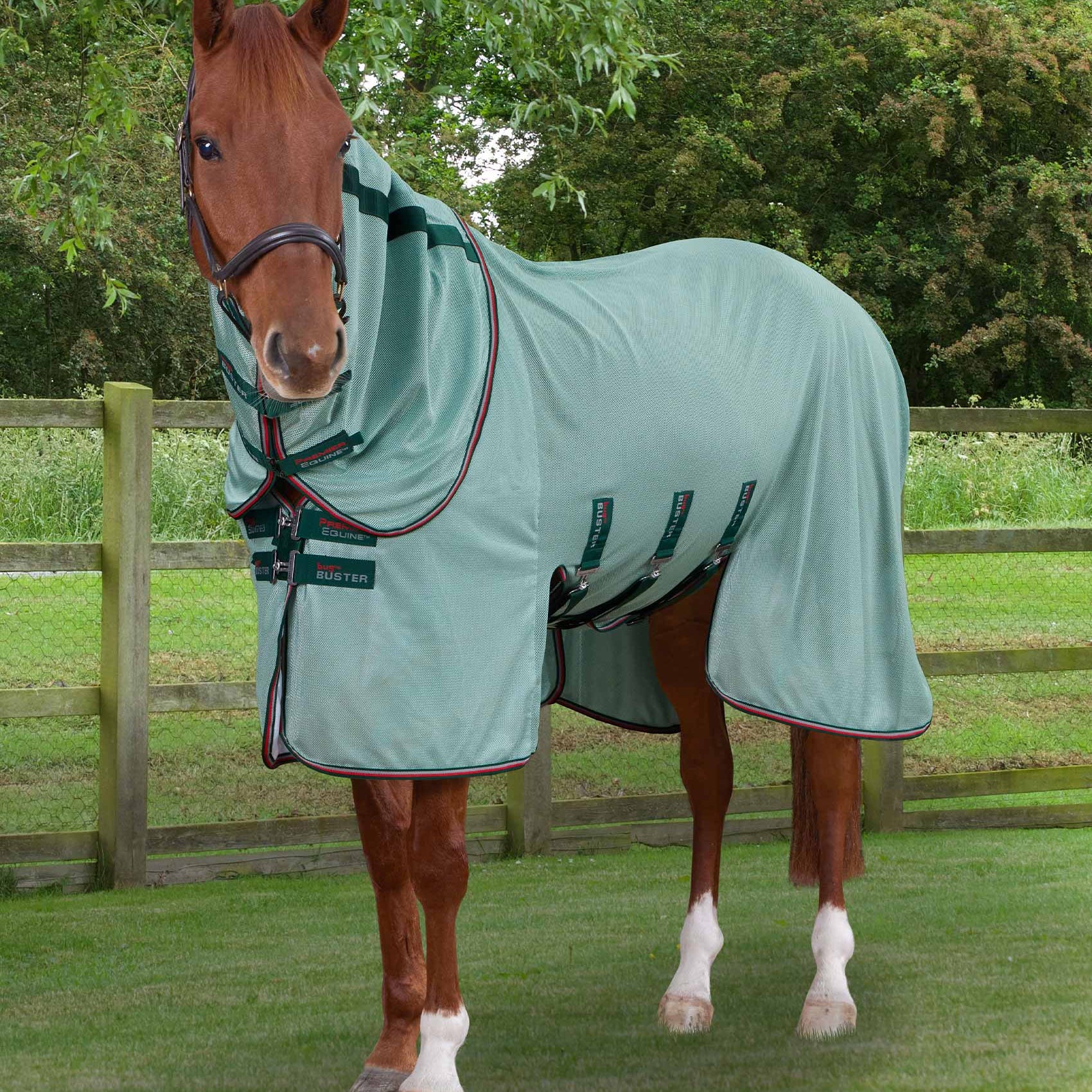 Mint Green Horse Fly Rug with Detachable Neck & Belly Flap - UV Protection & Bug Shield | Equiflair