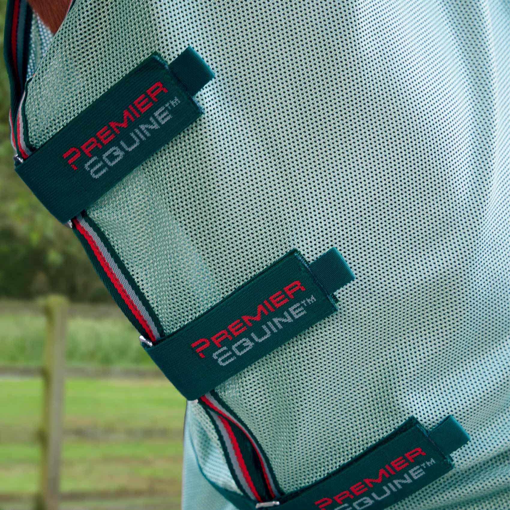 Premier Equine Bug Buster Fly Rug straps in mint green, providing horse protection from bugs, insects, and UV rays.