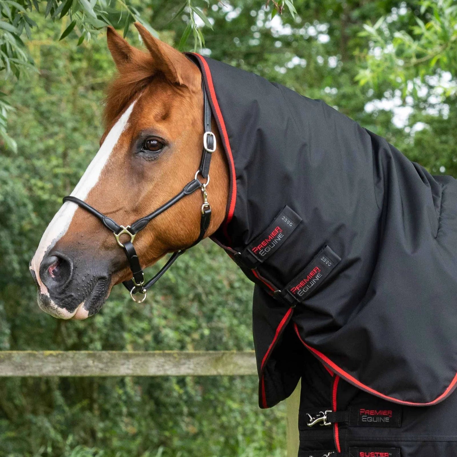 Premier Equine Buster 420g Turnout Rug with Classic Neck Cover Black