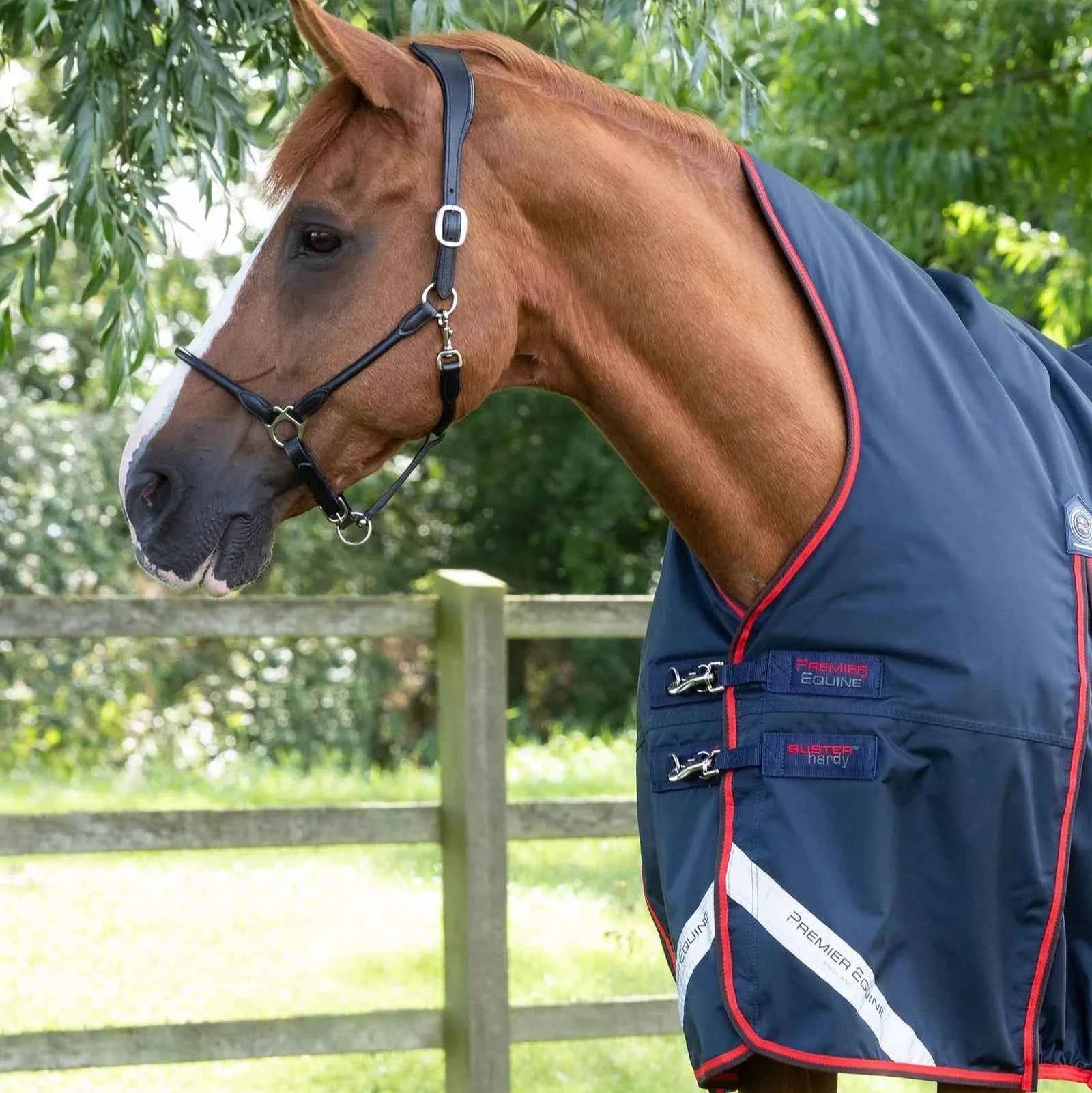Premier Equine Buster Hardy 200g Half Neck Turnout Rug Navy