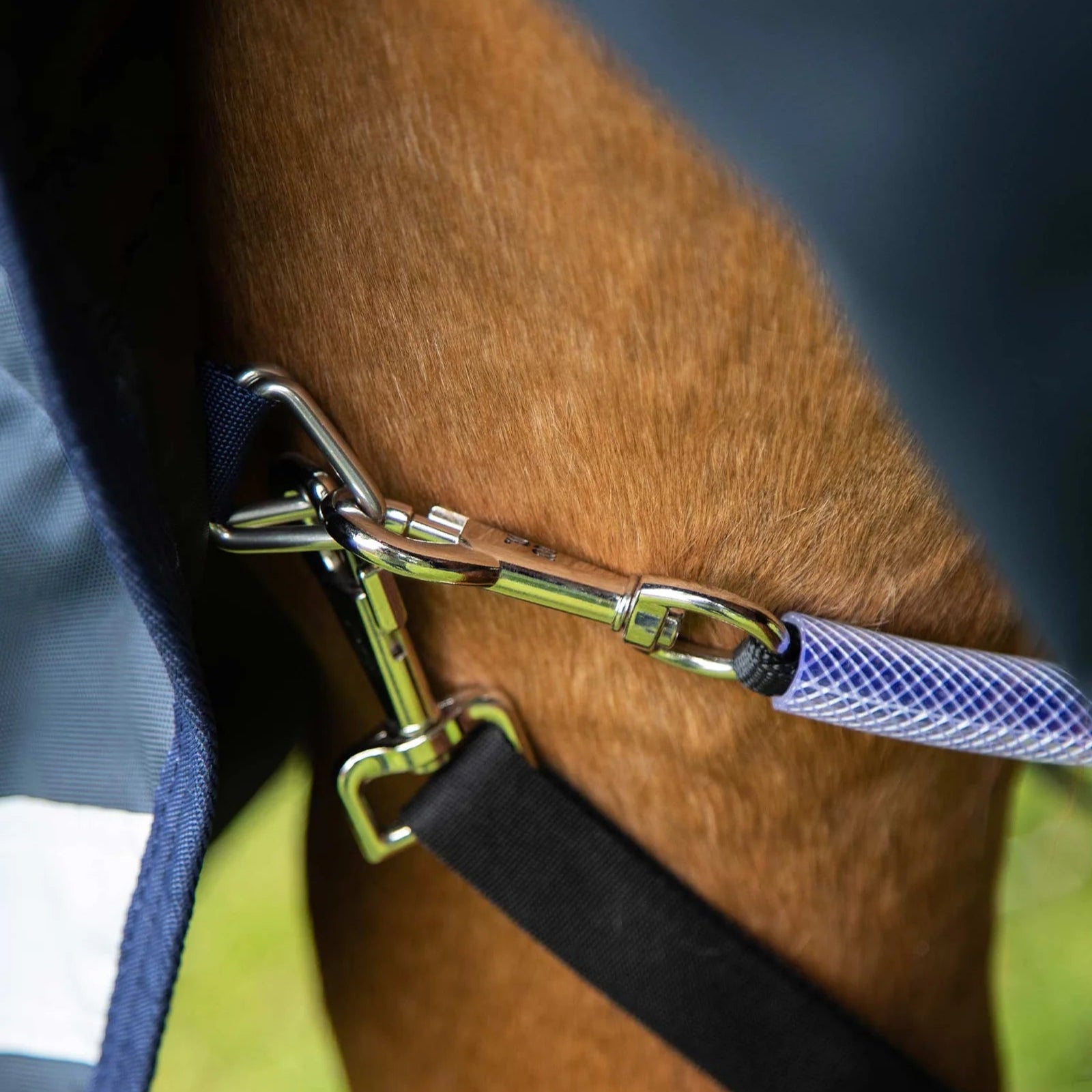 Premier Equine Buster Storm 220g Combo Turnout Rug with Classic Neck Navy