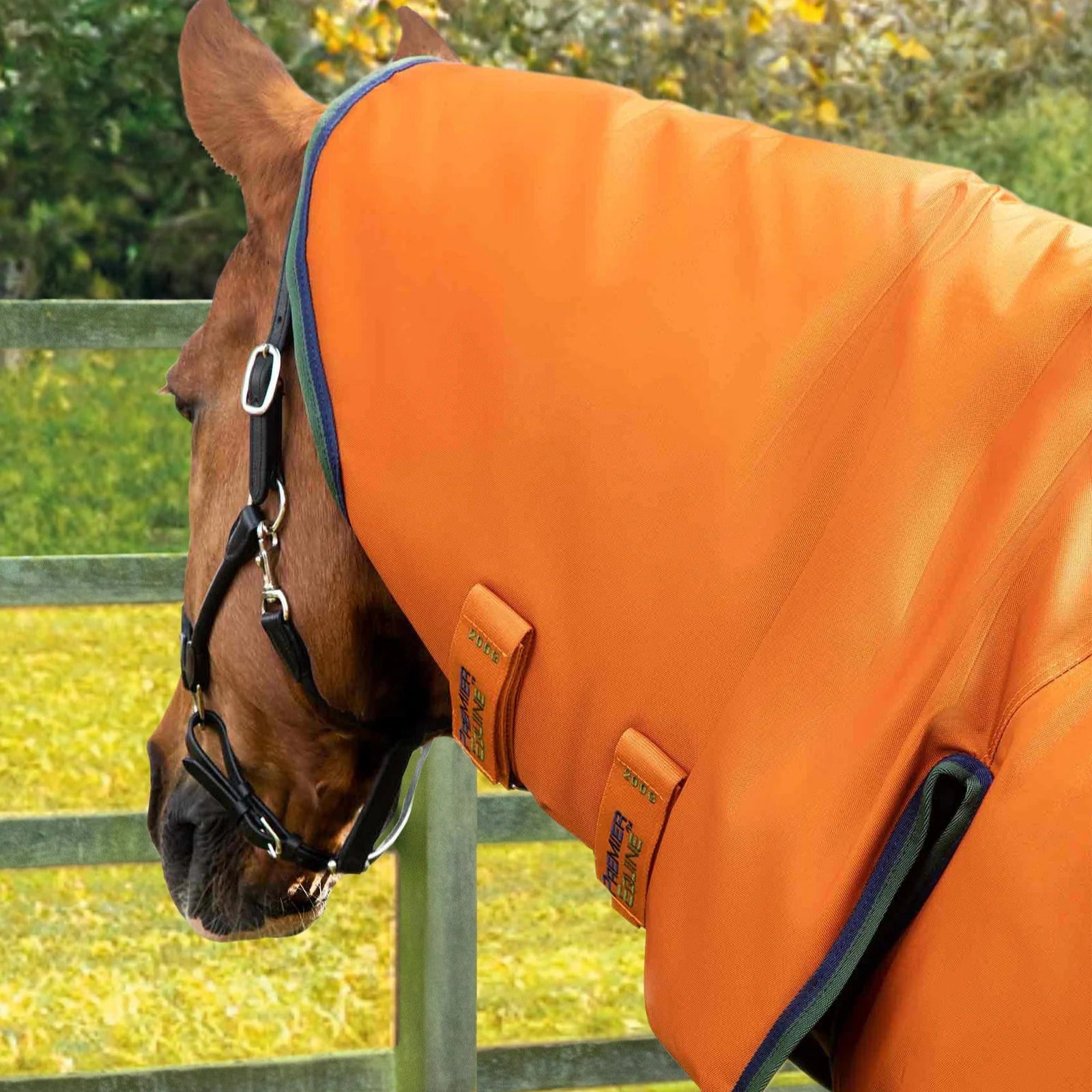 Premier Equine Buster Storm 400g Combo Turnout Rug with Classic Neck Burnt Orange