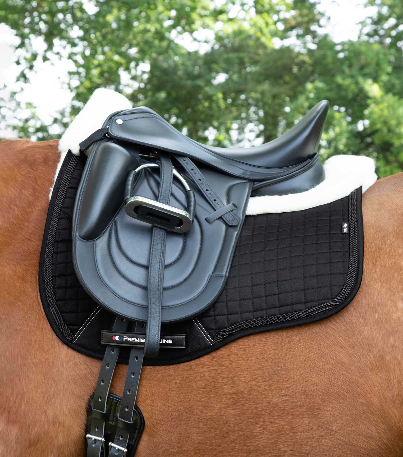 Premier Equine Black Dressage Saddle Pad w/ Merino Wool | Equiflair horse riding equipment.