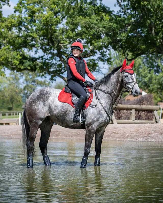 Equestrian Scene: Horse & Rider in Water with Lemieux Chilli Saddle Pad | Equiflair Saddlery