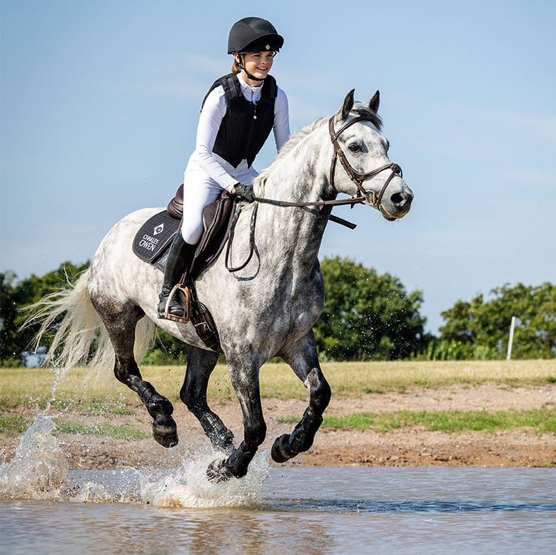 Equestrian Riding Gray Horse with Charles Owen Gear, Eventing Sport. Horse Riding in Water