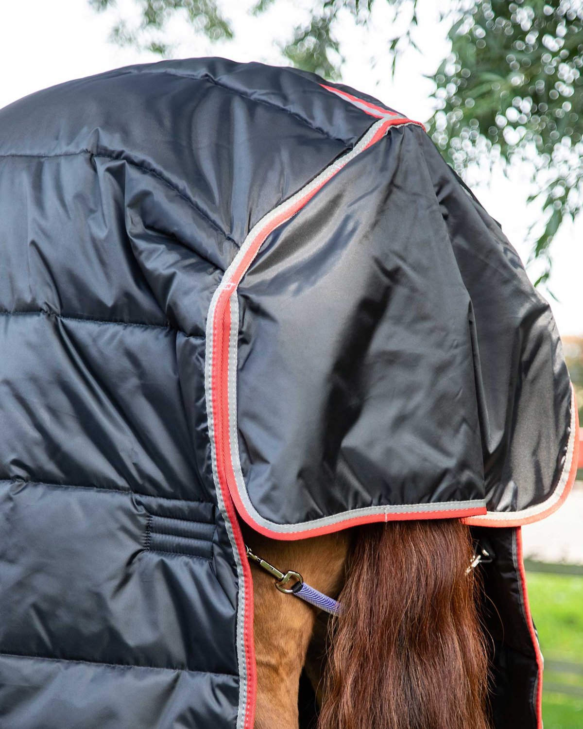 Premier Equine Combo Stable Rug 400g - Black Horse Blanket for Warmth & Comfort | Equiflair