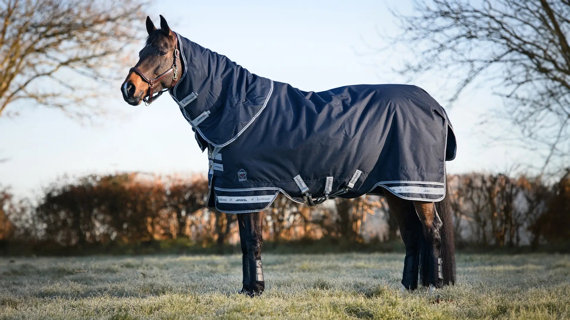 LeMieux Arika Storm-Tek Rug 350g Navy - Old Season Style
