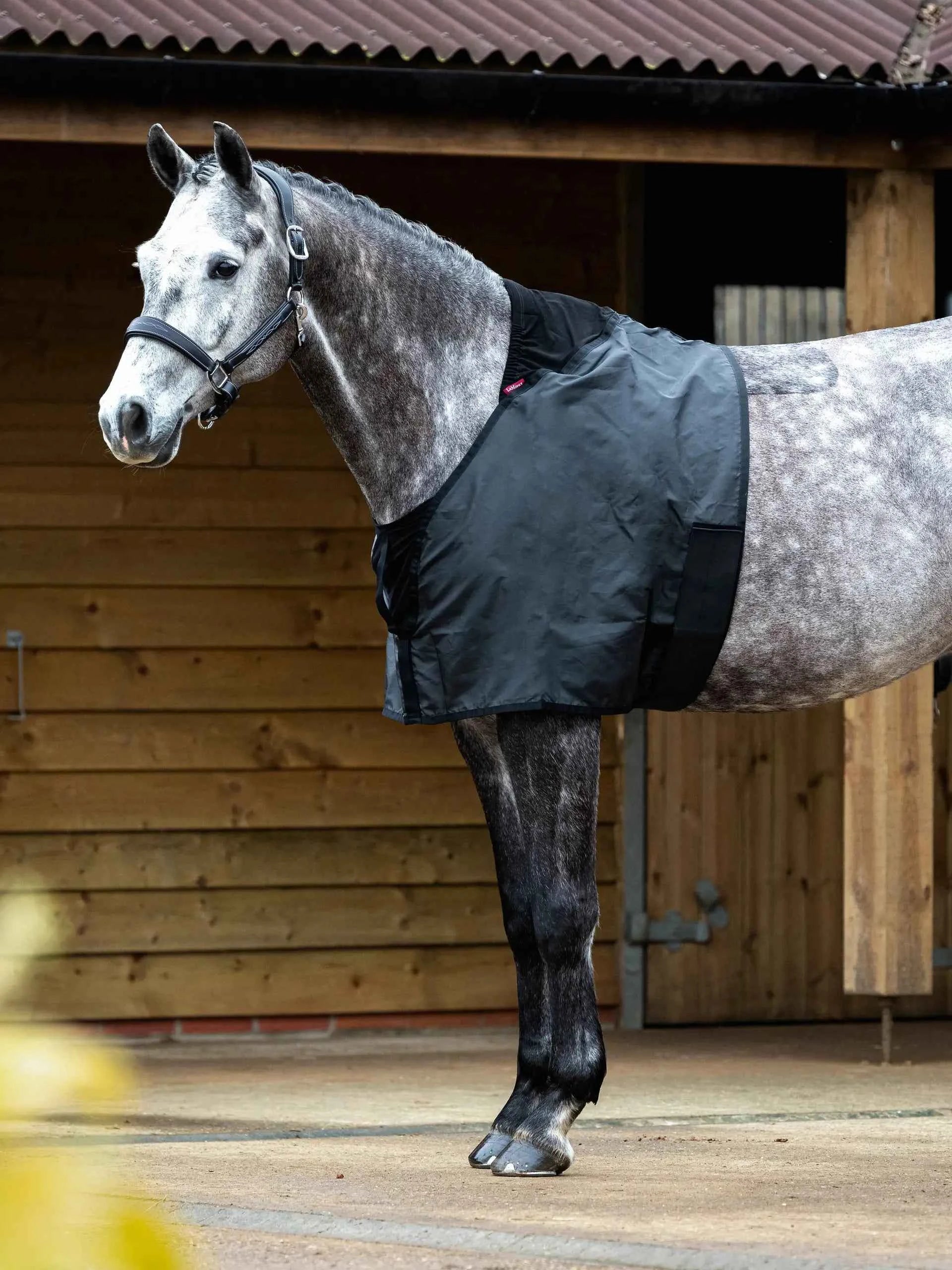 LeMieux LeMieux Anti Rub Bib Black