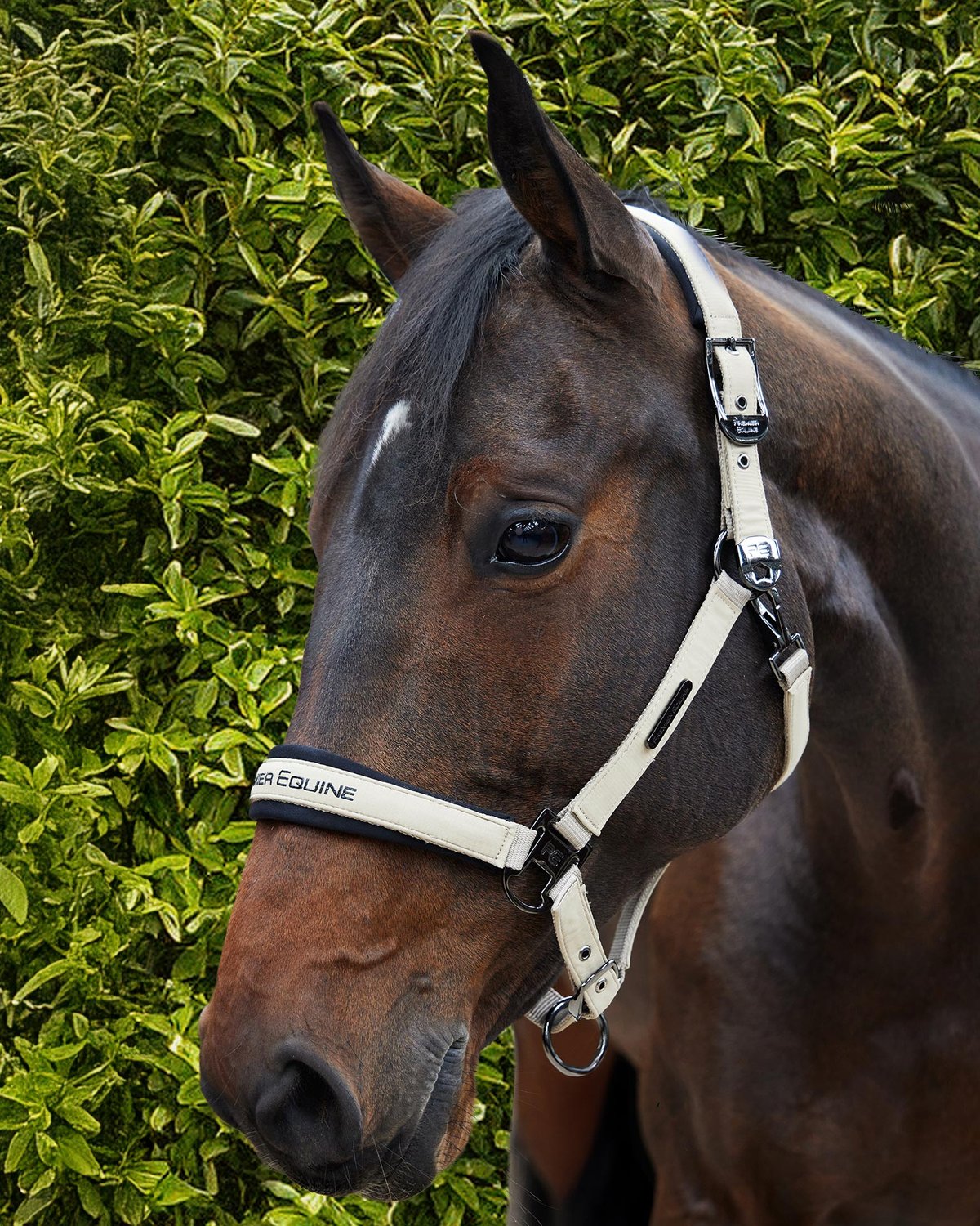 Premier Equine Duco Padded Head Collar with Lead Rope Taupe
