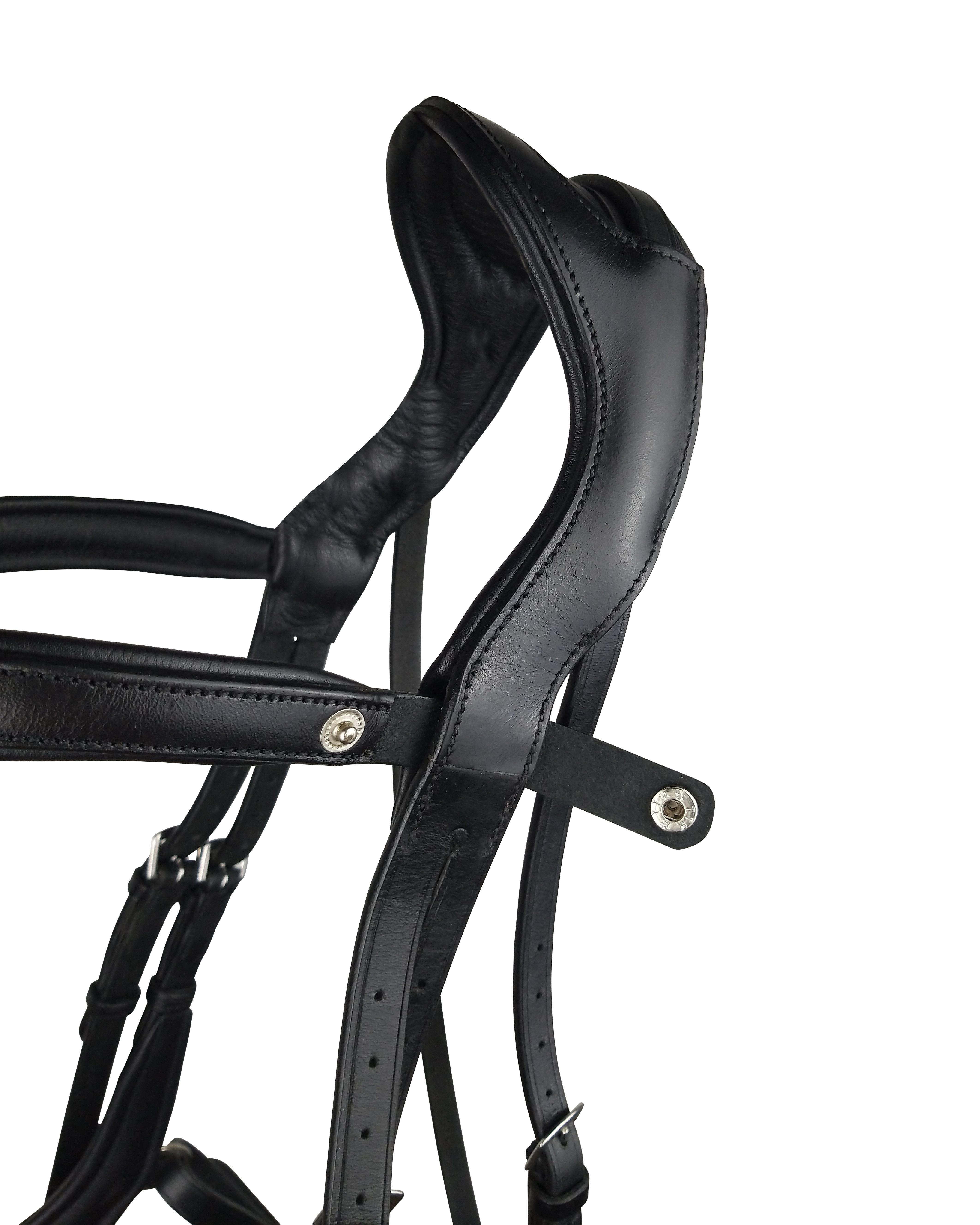 Ecorider Freedom Comfort Bridle