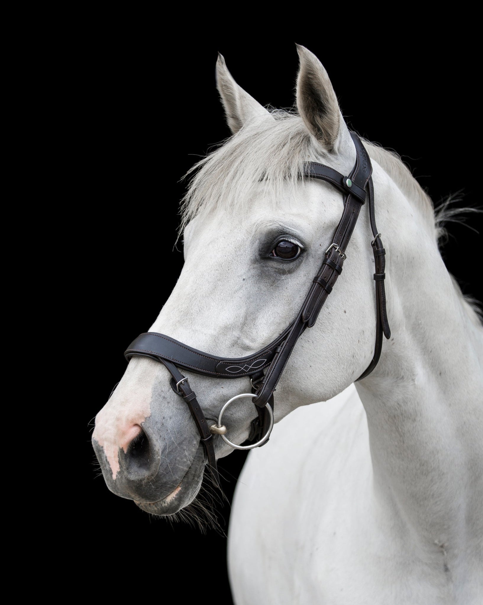 Ecorider Freedom Comfort Bridle