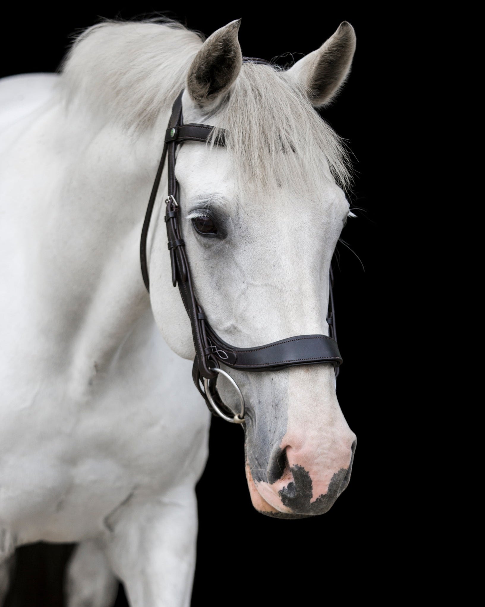 Ecorider Freedom Comfort Bridle