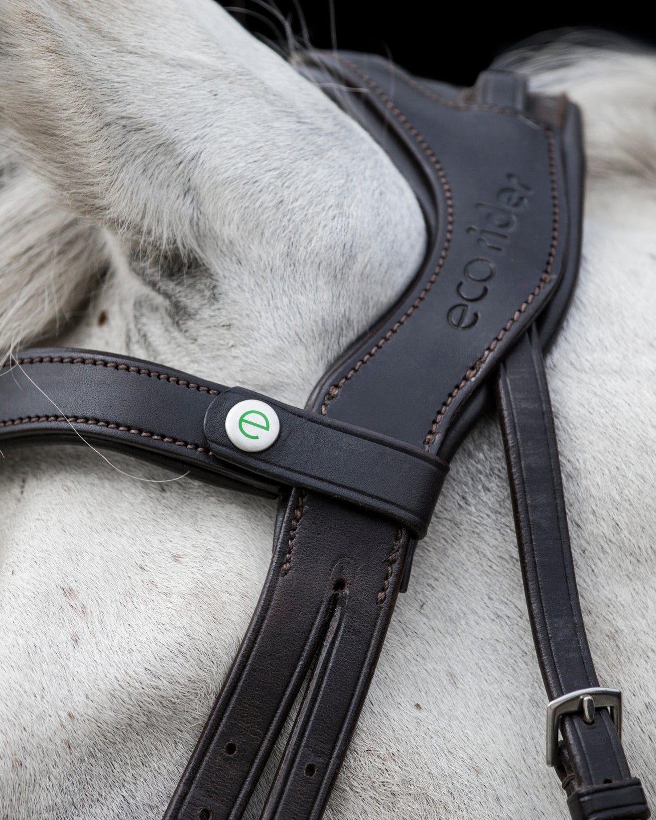 Ecorider Freedom Comfort Bridle