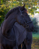 Ecorider Ecosoft Luxe Noseband