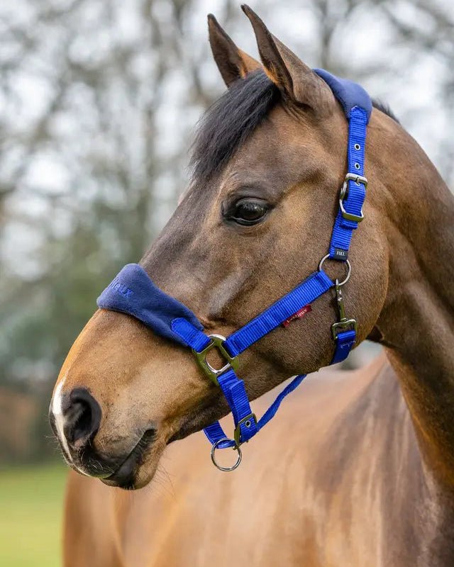 LeMieux Vogue Headcollar & Leadrope Royal Blue | Equiflair