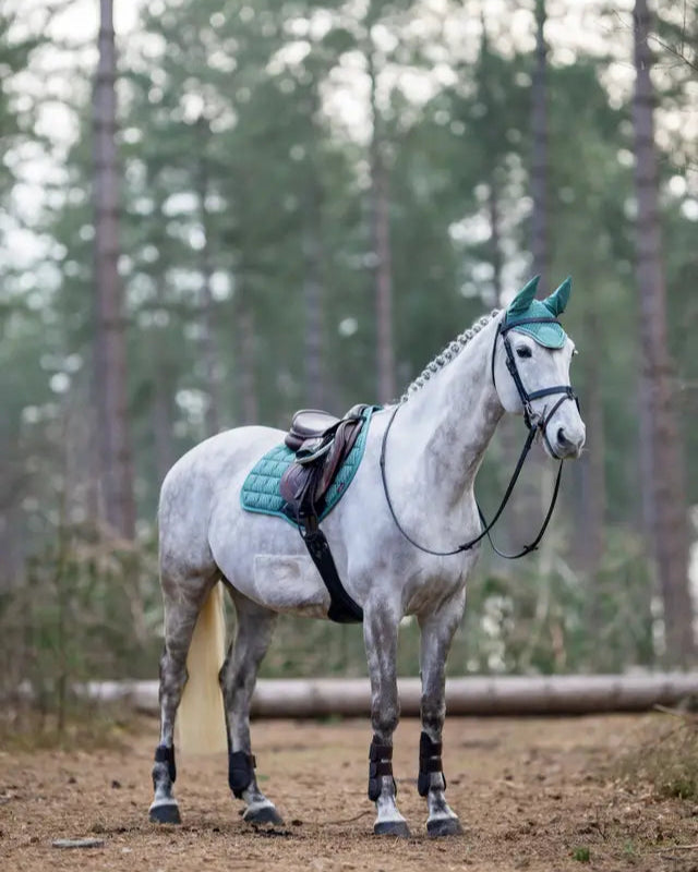 Grey horse with LeMieux Carbon Mesh Sage Saddle Pad - Equestrian Riding Gear