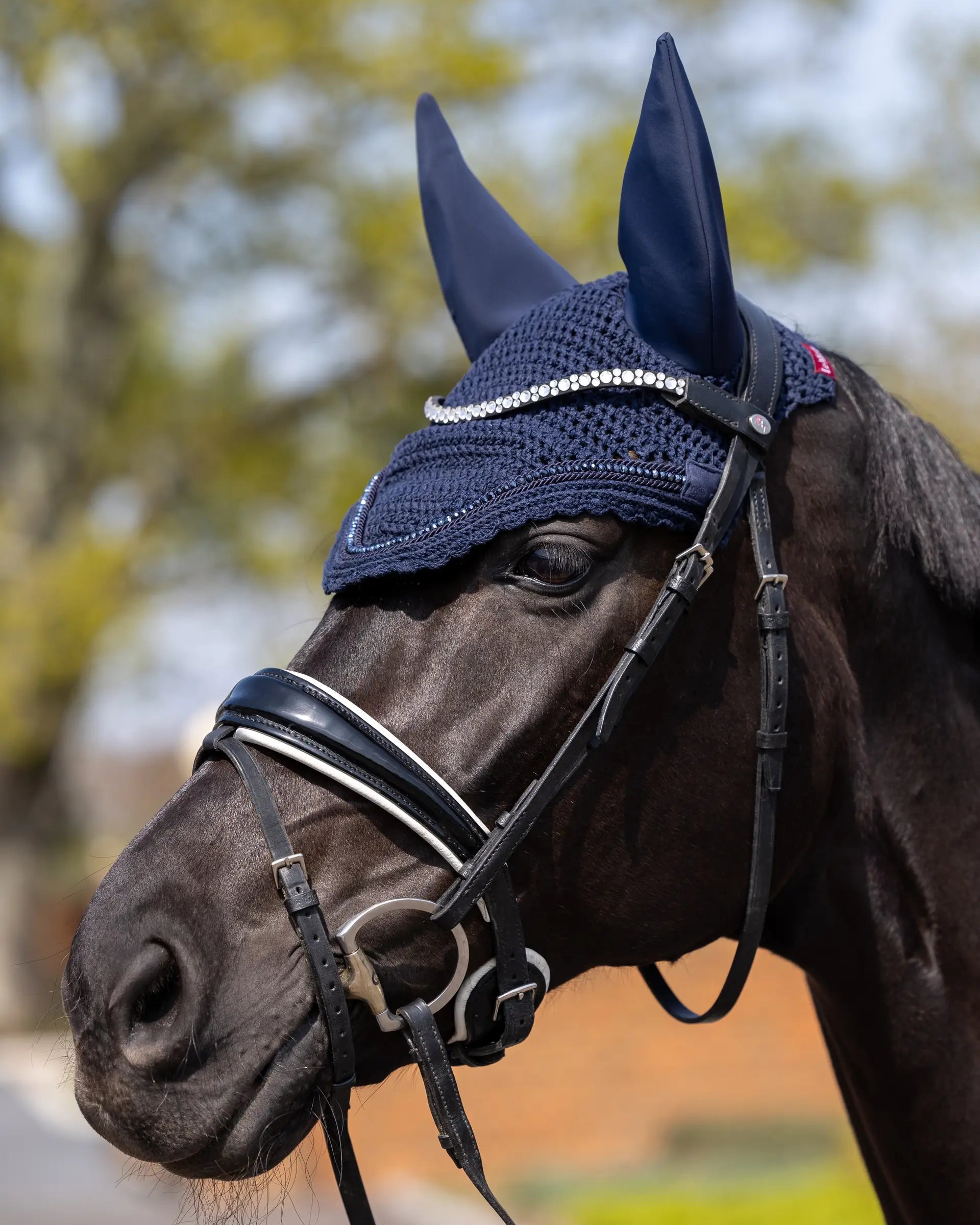 Black horse wearing a LeMieux Diamante Acoustic Navy fly hood. Equestrian gear for noise reduction & comfort.