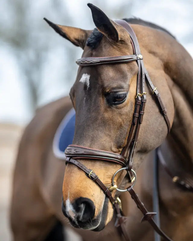 LeMieux Kudos Competition Flash Bridle Havana - Brown leather horse bridle with decorative stitching from Equiflair