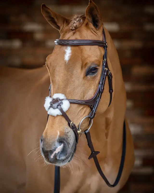 LeMieux Kudos Grackle Bridle Havana: Premium Leather Horse Bridle with Comfort Padding. Equestrian Equipment for Show & Training.