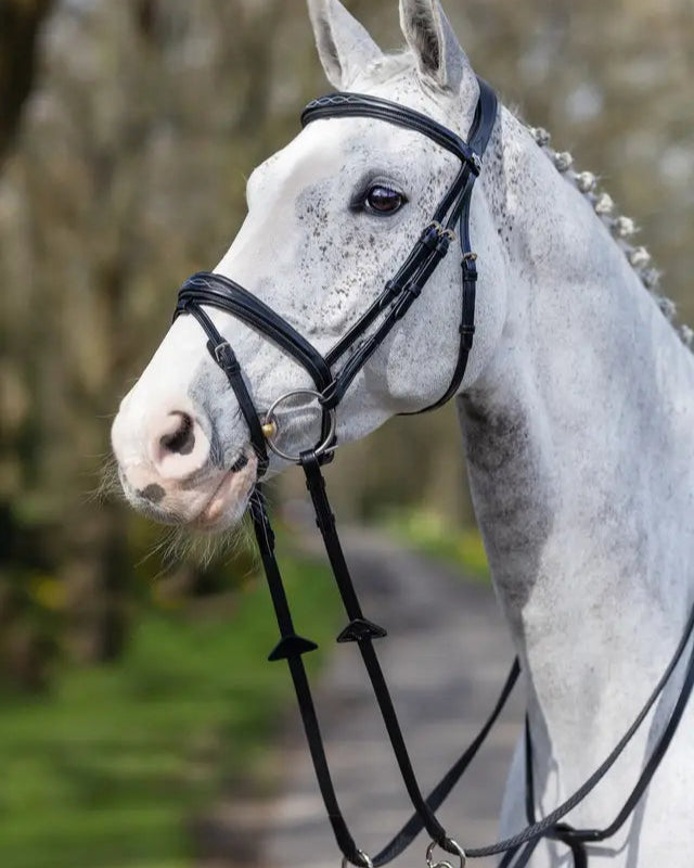 LeMieux Kudos Competition Flash Bridle Black: Quality Horse Bridle for Show & Competition | Equiflair
