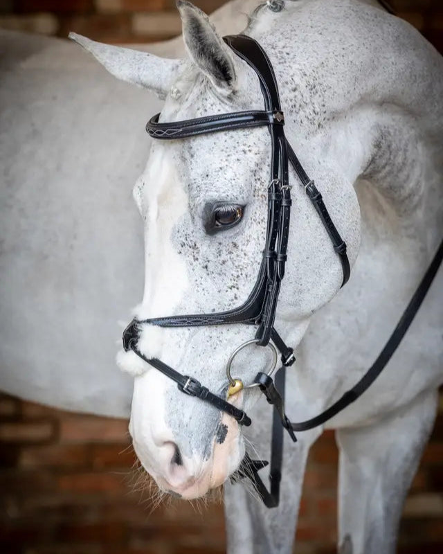 LeMieux Kudos Grackle Bridle - Black leather horse bridle for equestrian sports