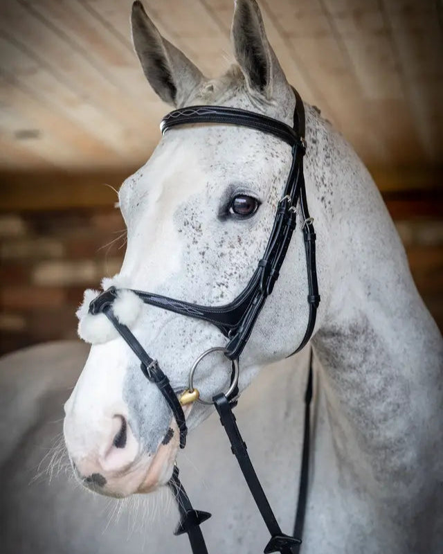 LeMieux Kudos Grackle Bridle Black: Premium horse bridle with anatomical design & soft padding. Equestrian equipment.