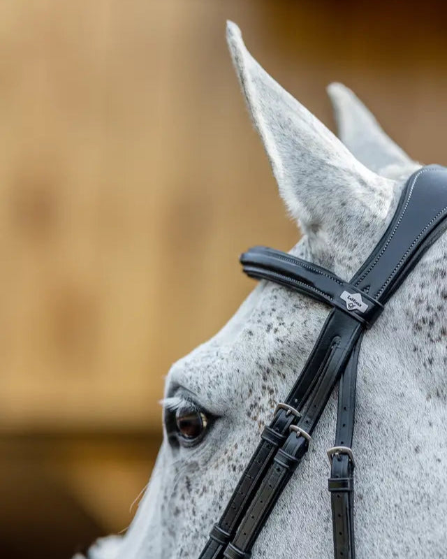 LEMIEUX KUDOS Grackle Bridle in Black on a Grey Horse | Equestrian Equipment