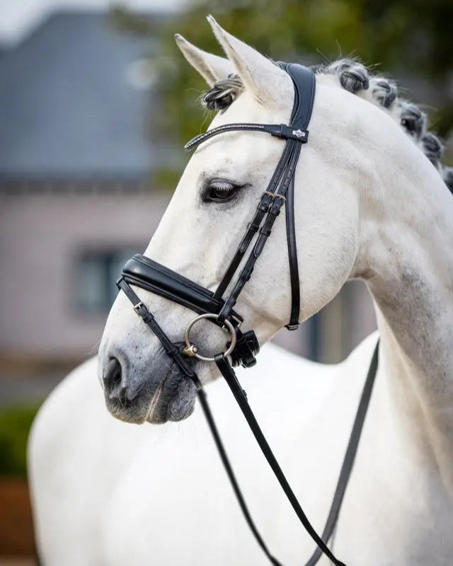 LeMieux Kudos Classic Dressage Bridle Black