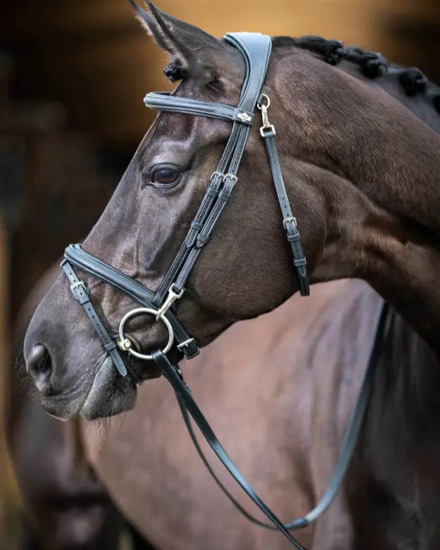 LeMieux Kudos Work Horse Bridle - Black Leather Equestrian Tack