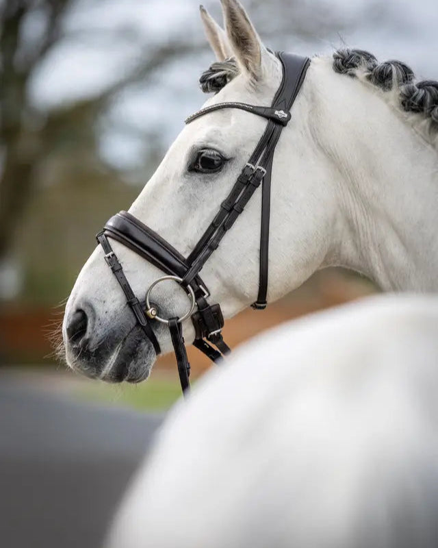 LeMieux Kudos Classic Dressage Bridle Brown