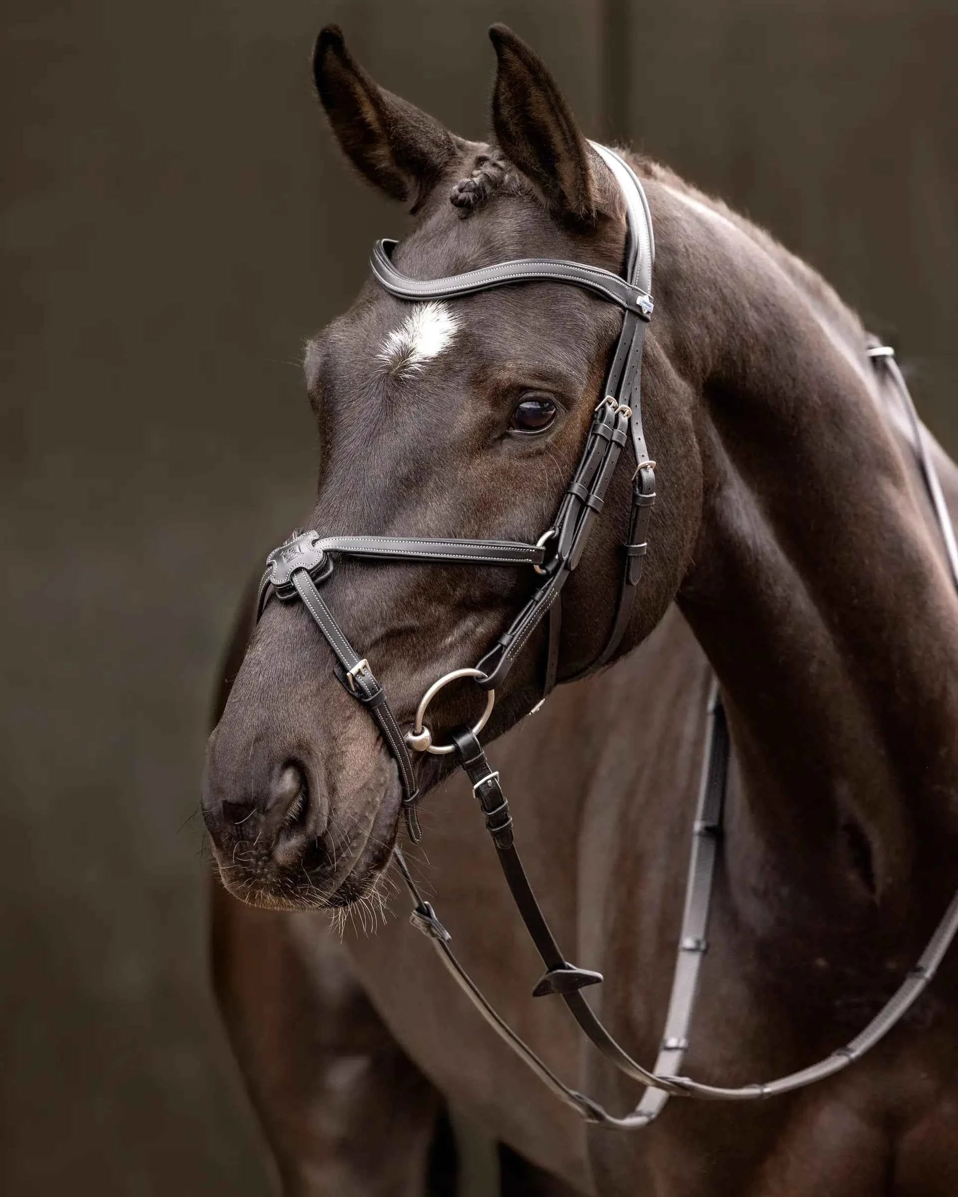 LeMieux Arika Grackle Bridle Black/Silver