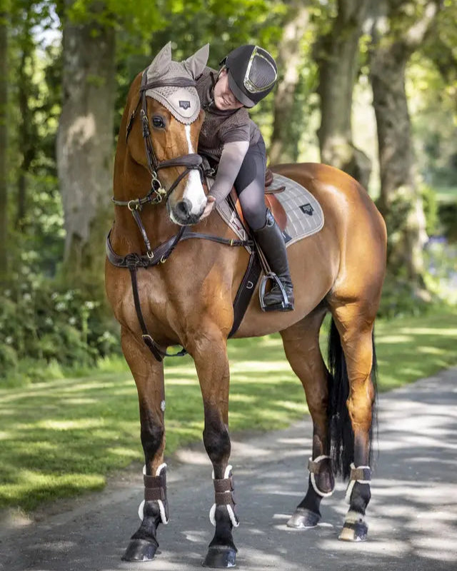 LeMieux Loire Fly Hood Mink: Equestrian Horse Fly Mask for Fly Protection & Style