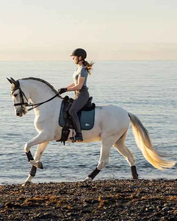 LeMieux Earth Dressage Square Ocean