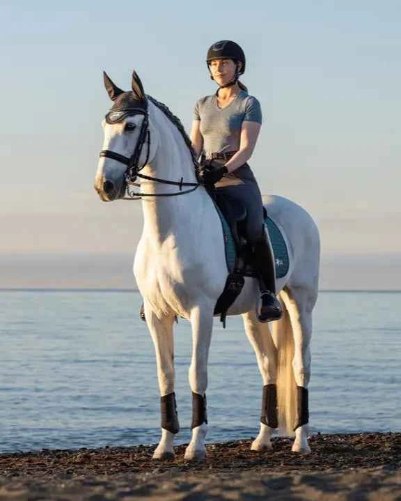 LeMieux Earth Dressage Square Ocean