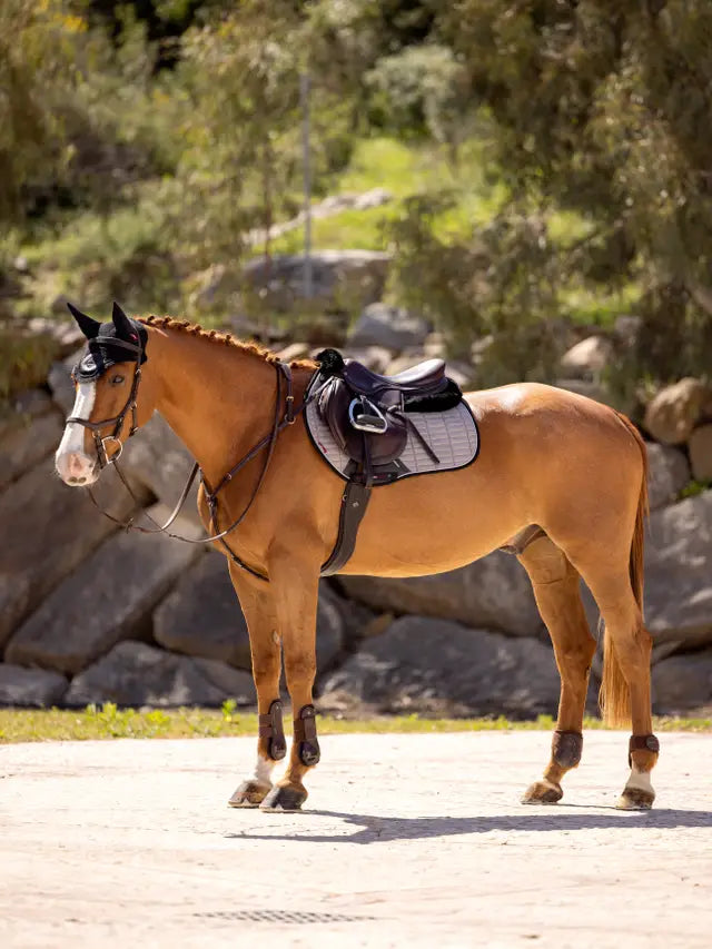 LEMIEUX Suede EuroJump Square Grey Saddle Pad for Horses - Equiflair