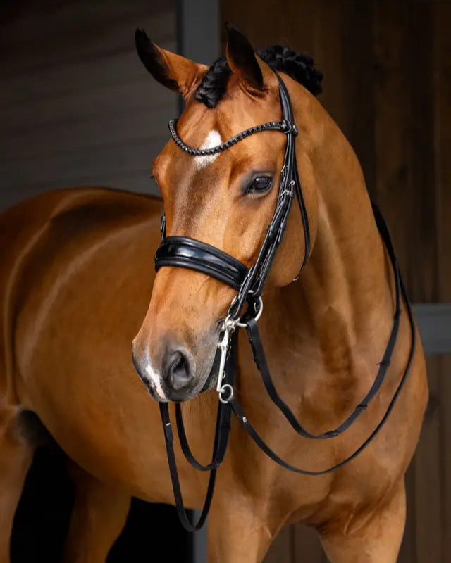LeMieux Kudos Double Bridle Black
