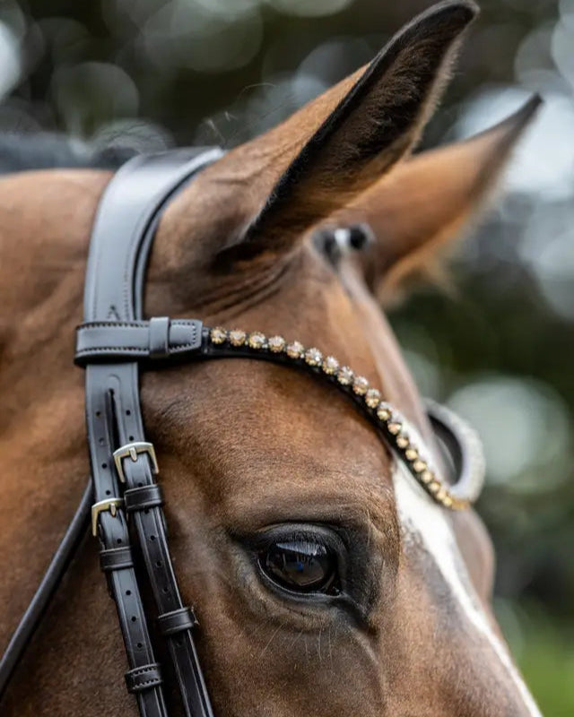 LeMieux Kudos Patent Dressage Bridle Brown
