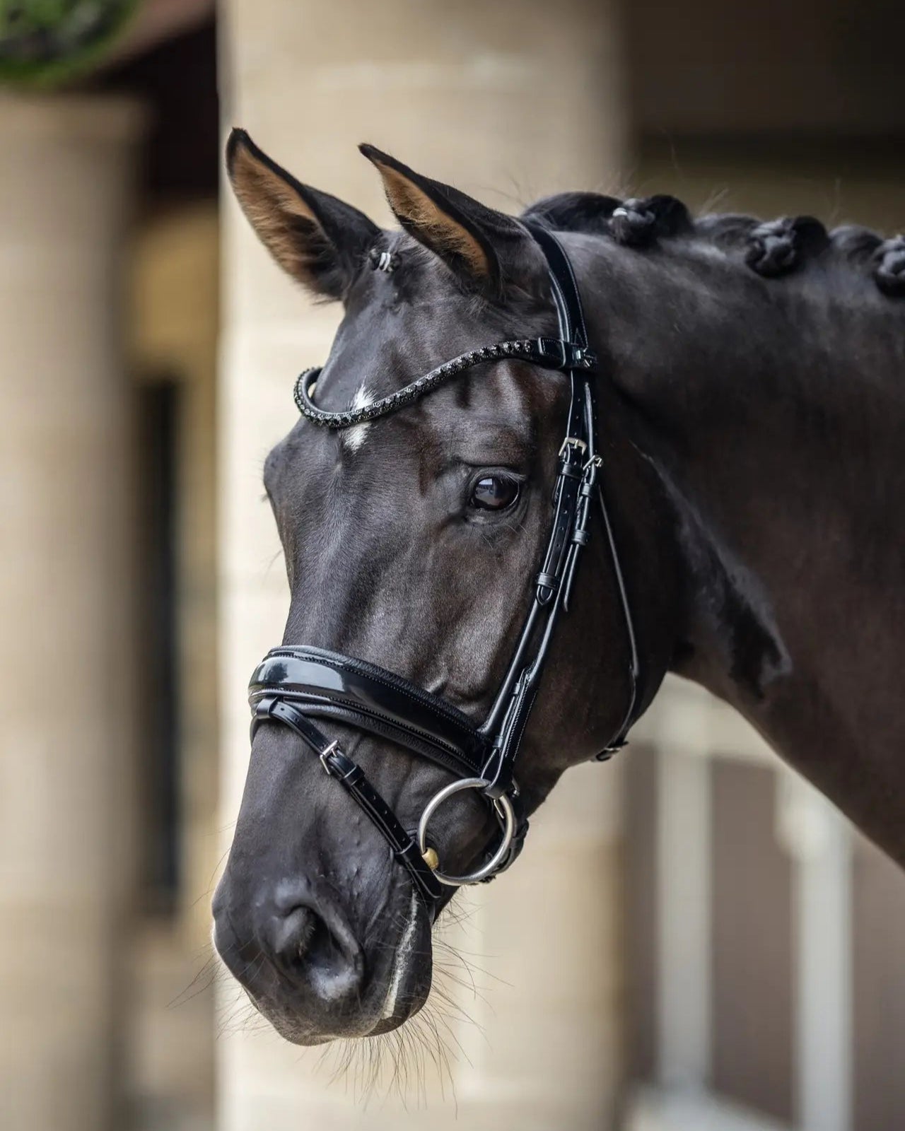 LeMieux Kudos Patent Dressage Bridle Black