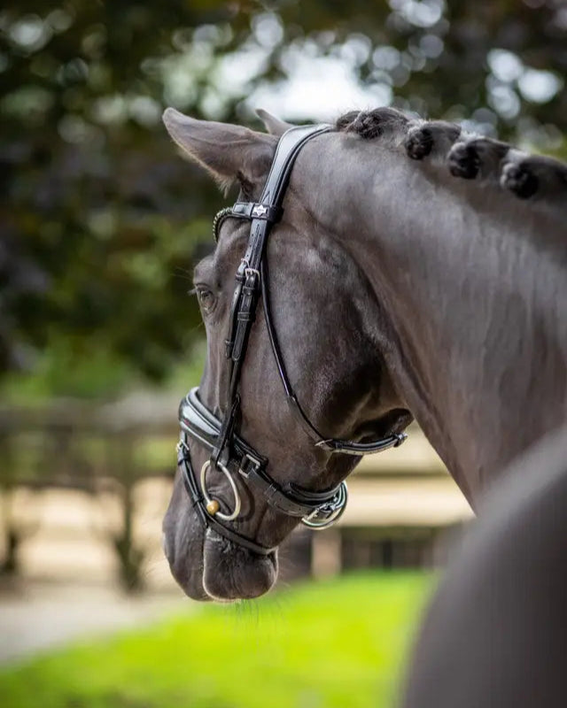 LeMieux Kudos Patent Dressage Bridle Black