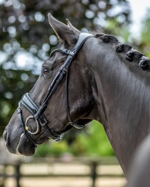 LeMieux Kudos Patent Dressage Bridle Black