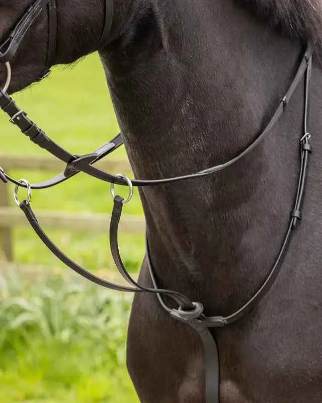 LeMieux Arika Running Martingale Black/Silver