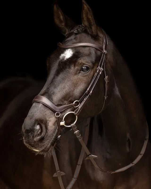 Lemieux Arika Drop Bridle - Brown Leather Horse Bridle by Equiflair Saddlery